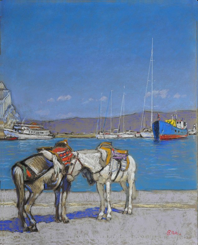 Idra, grece, chevaux