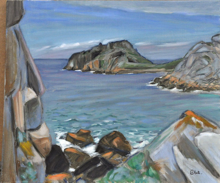 plougasnou; pointe de Primel