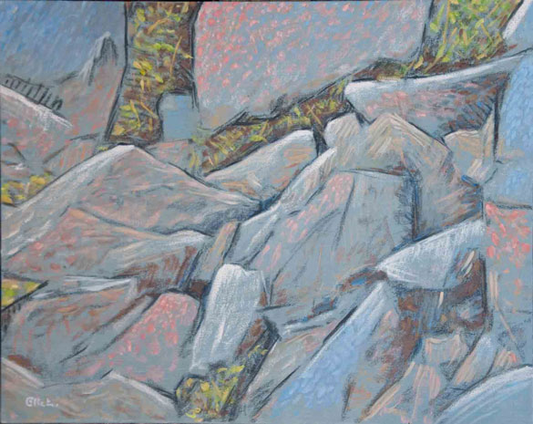 Lichens