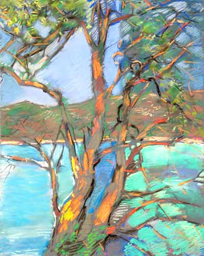 24c.verghia.arbres