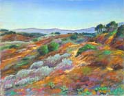 maquis corse