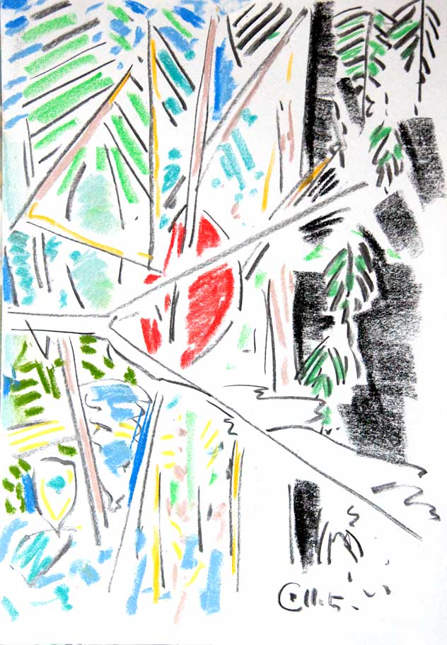 feuilles et fruit rouge
