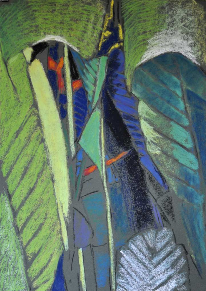 le regard de la palme