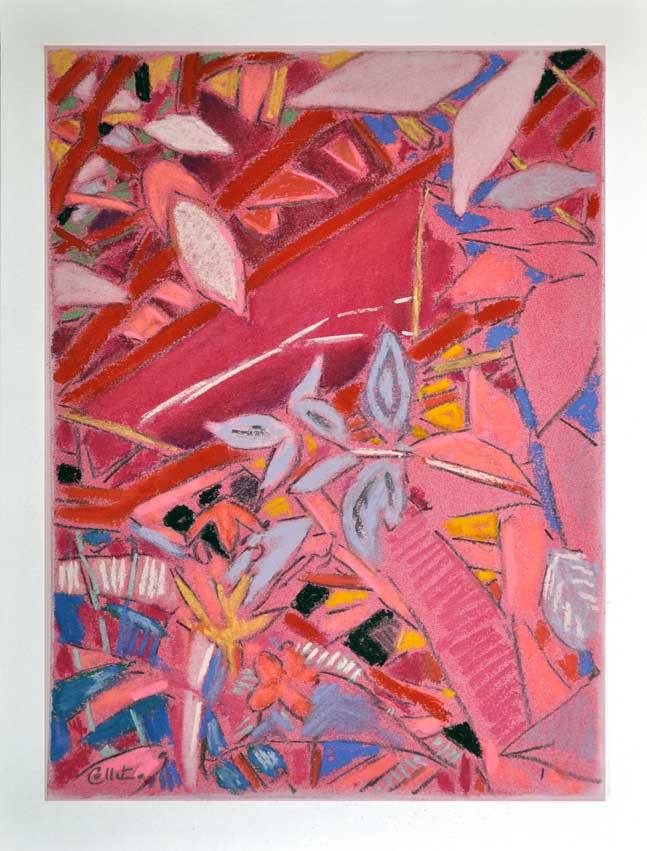 Tropiques rose rectangle