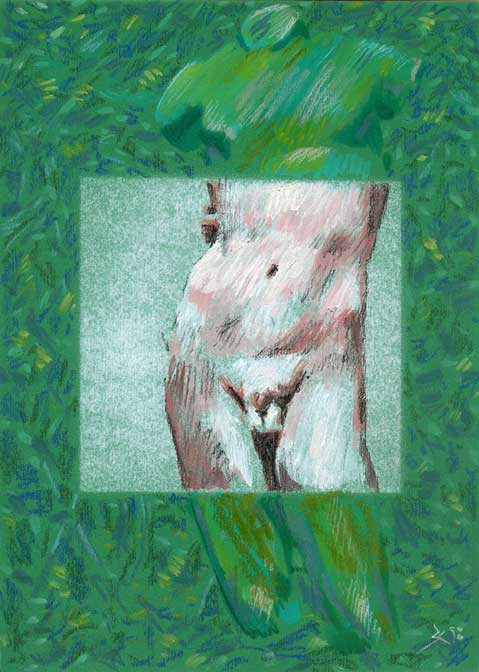 �phebe au carr� vert