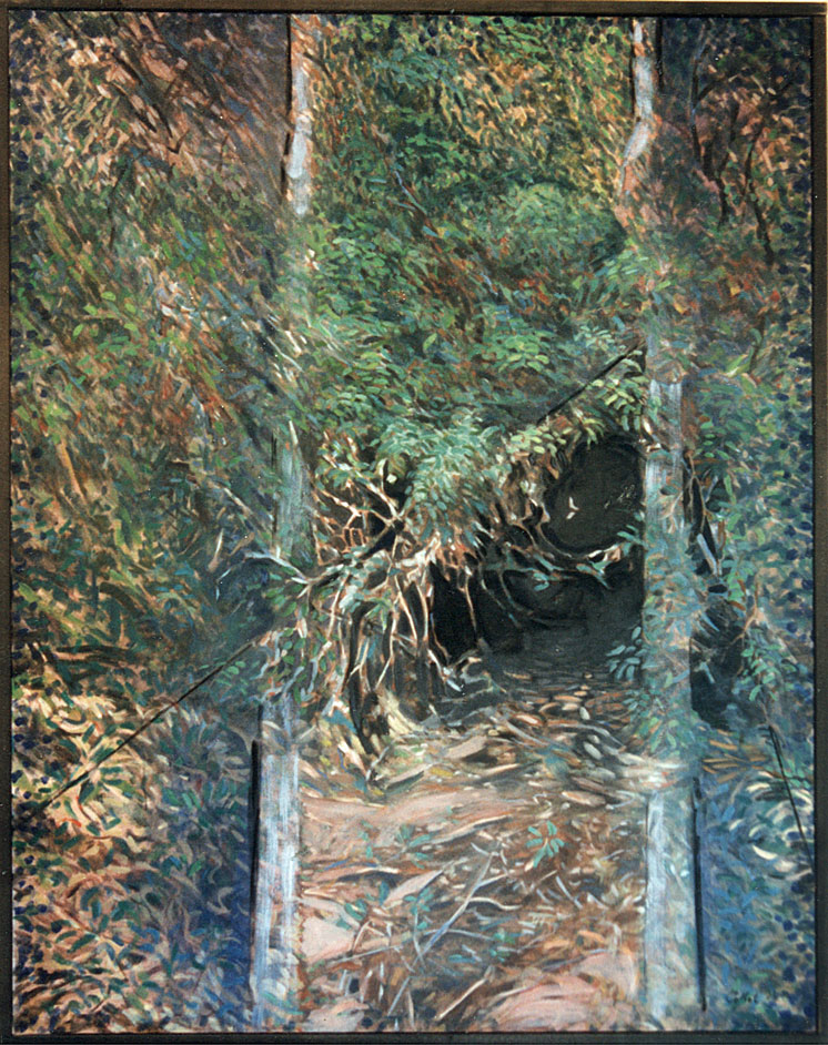 abri dans la foret