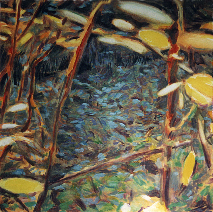 foret, feuilles autour du chemin bleu