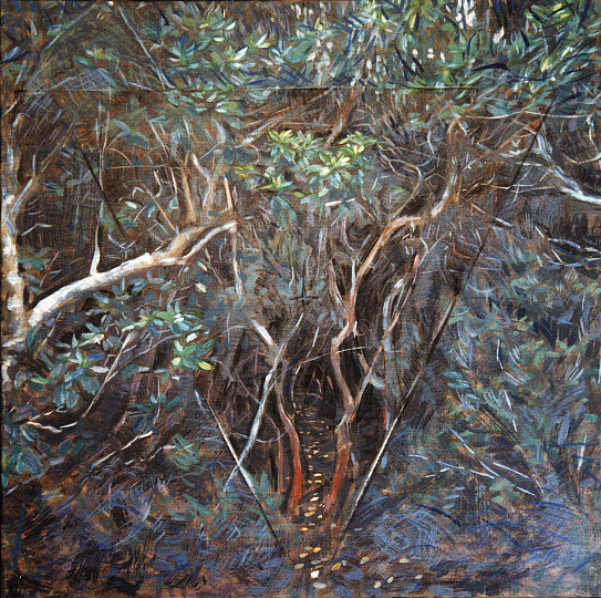 taillis buissonnant, huile sur toile