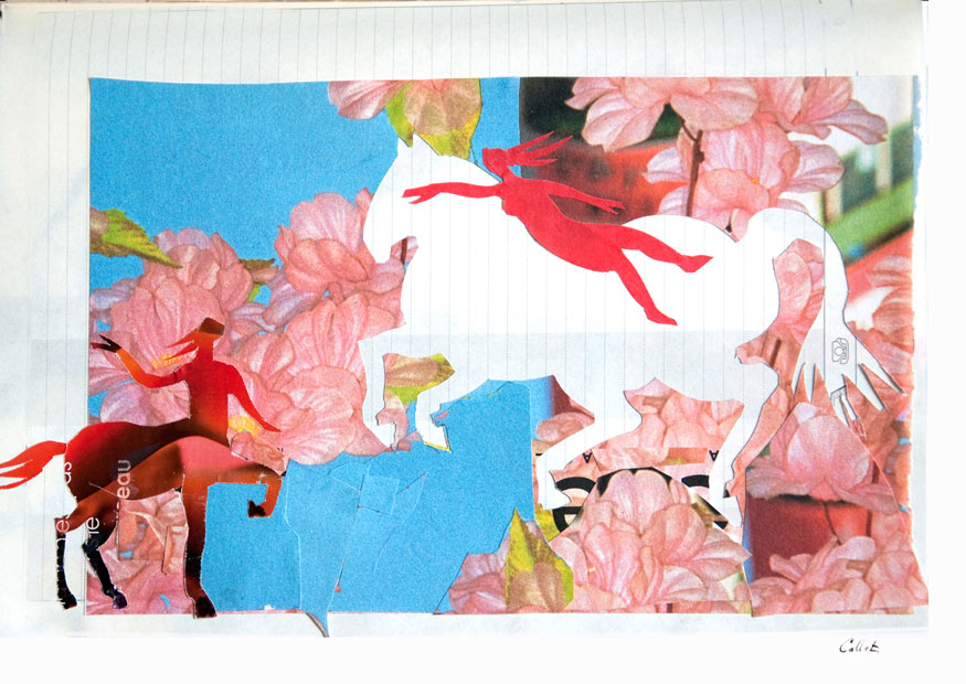 chval.collage